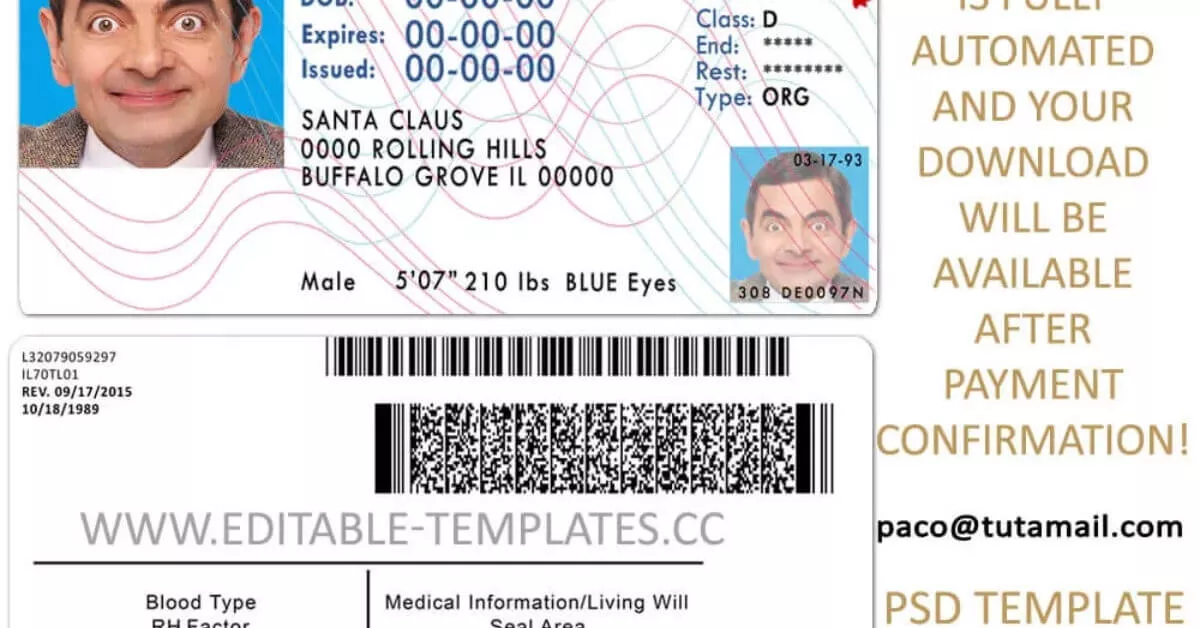 Illinois Driving Licence Template Editable Templates