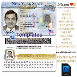 new york driver license template, editable in  photoshop. psd fake template, pay by bitcoin, paypal or card
