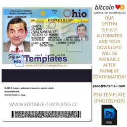 ohio driver license template, editable in photoshop. psd fake template, pay by bitcoin, paypal or card