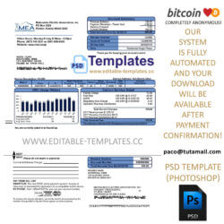alaska, mea electricty bill template, editable in  photoshop. psd fake template, pay by bitcoin, paypal or card