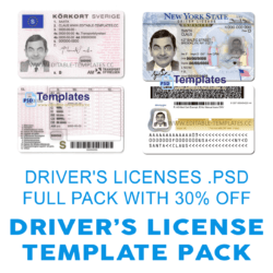 dl-passport-id-dl-statement-bill-template-editable-discount