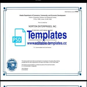 Alaska Business License